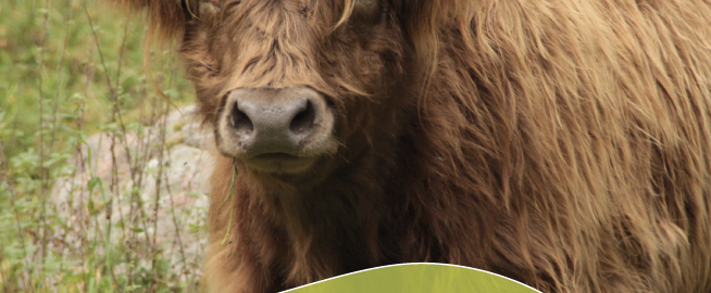 Folder terugdringen ontworminsmiddelen natuurterreinen